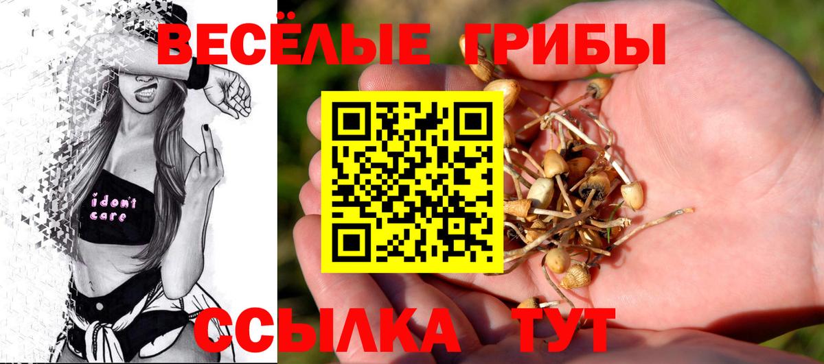 Псилоцибиновые грибы прущие грибы  Псилоцибиновые грибы прущие грибы  Архангельск  Вход с VPN 